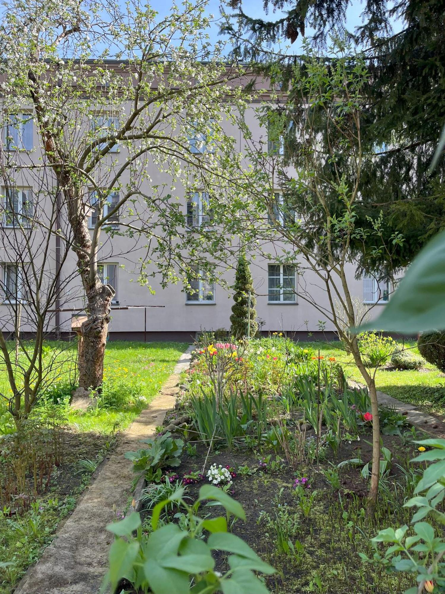Greenthumb Praska Krakkó Kültér fotó