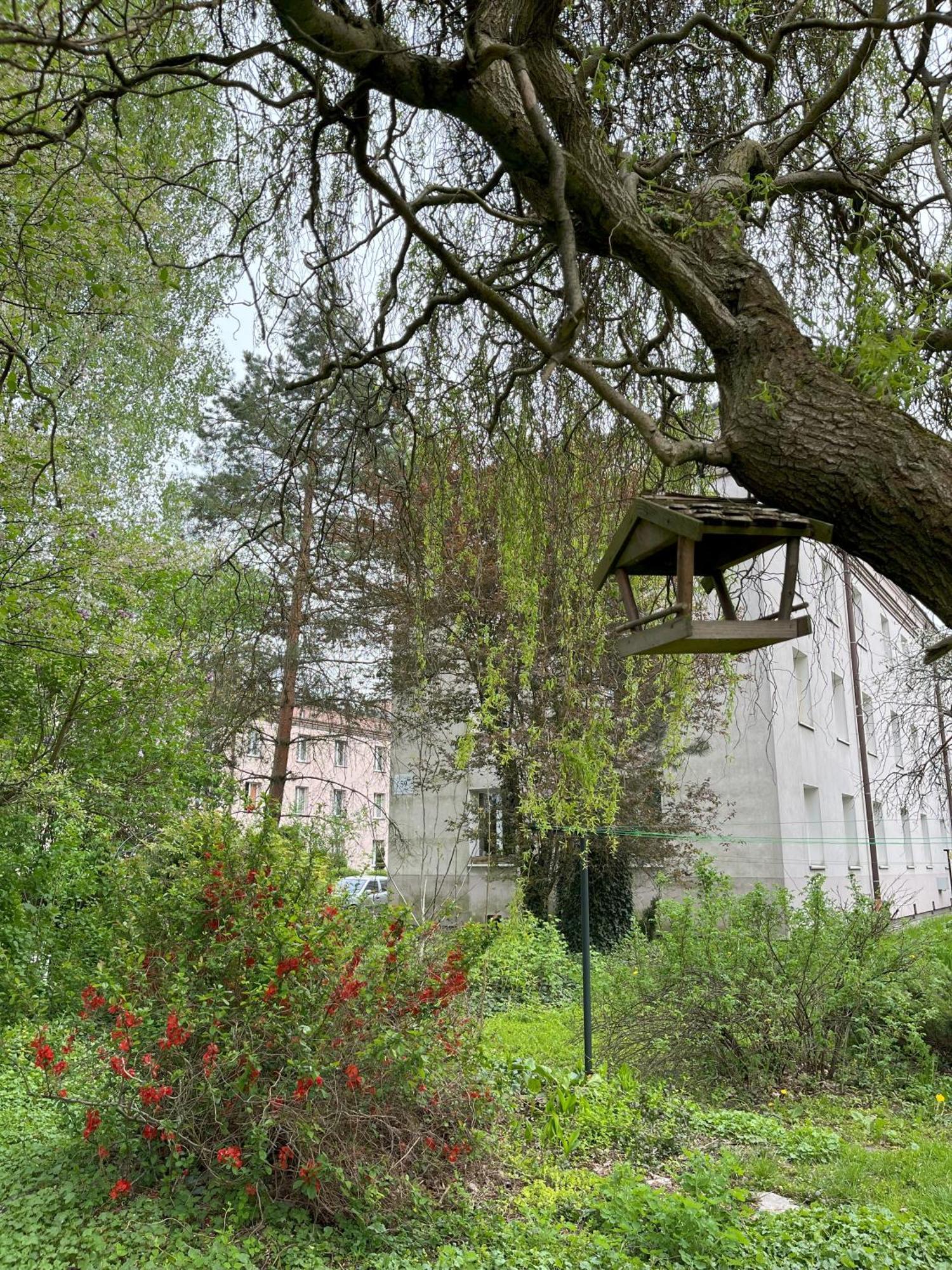 Greenthumb Praska Krakkó Kültér fotó